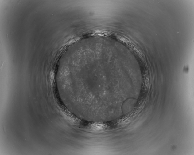 X0000098180711200805081024