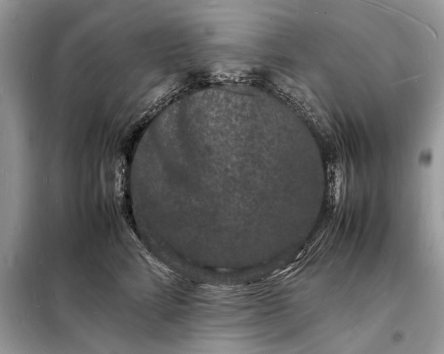 X0000098180712200805081024