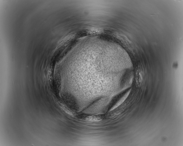 X0000098180714200805081024