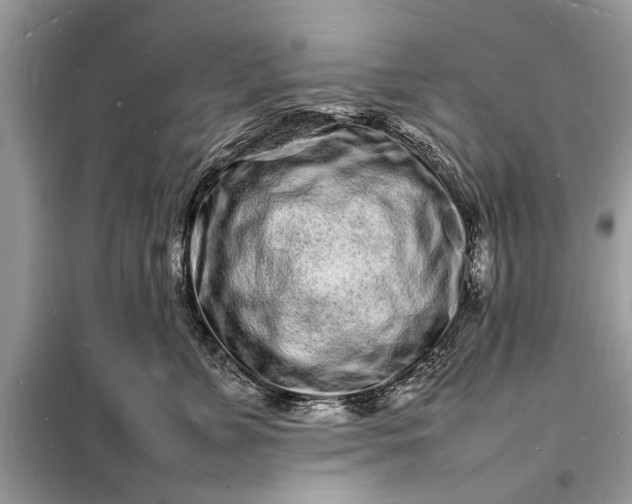 X0000098180715200805081024