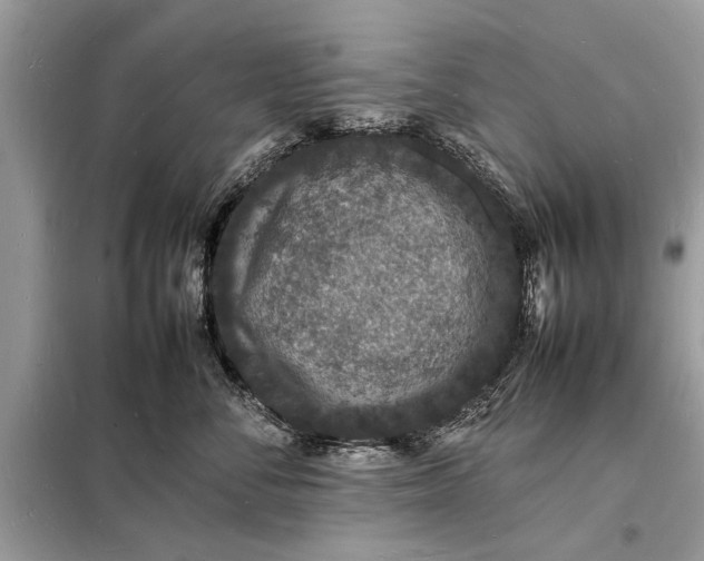 X0000098180716200805081024