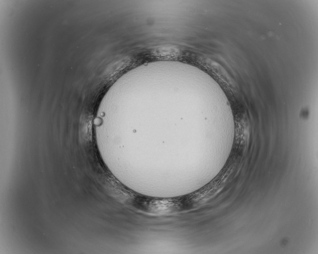 X0000098180717200805081024