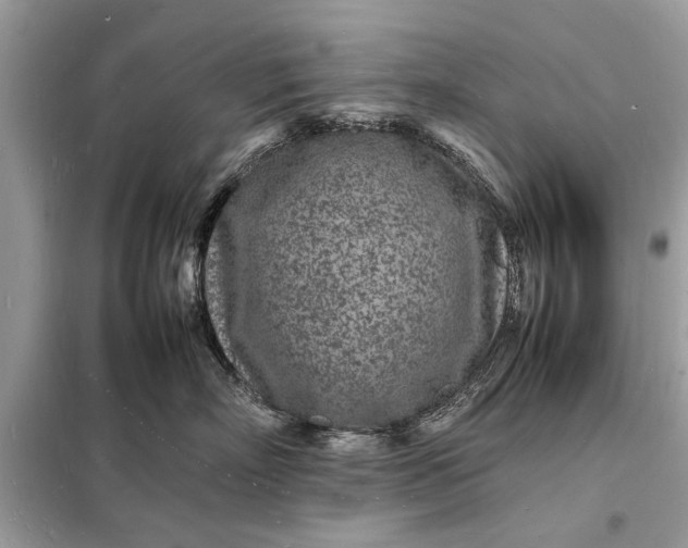 X0000098180718200805081024