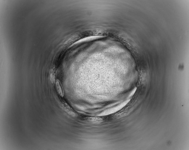 X0000098180719200805081024