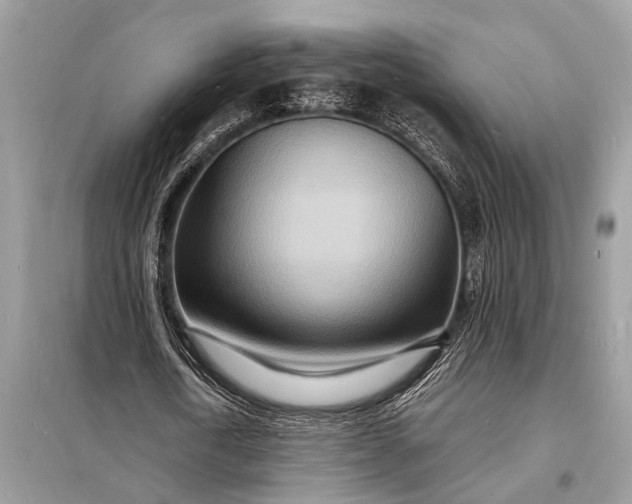 X0000098180722200805081023