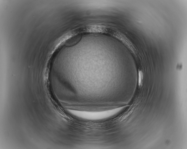 X0000098180723200805081023