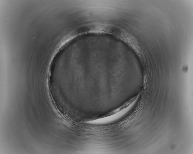 X0000098180724200805081023