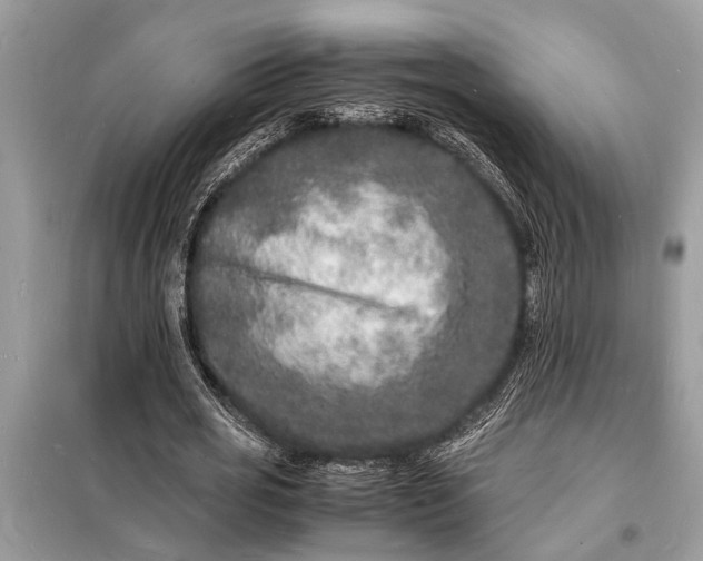 X0000098180725200805081023