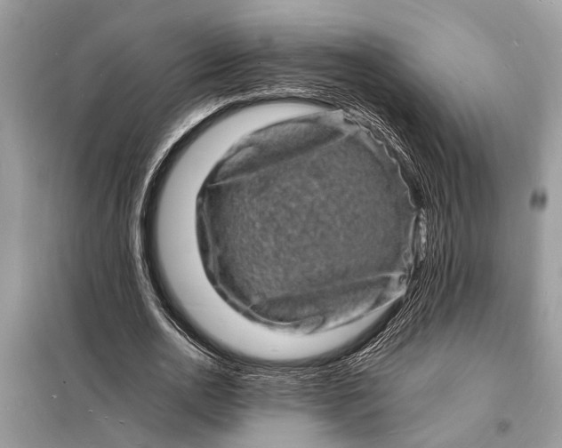 X0000098180726200805081023