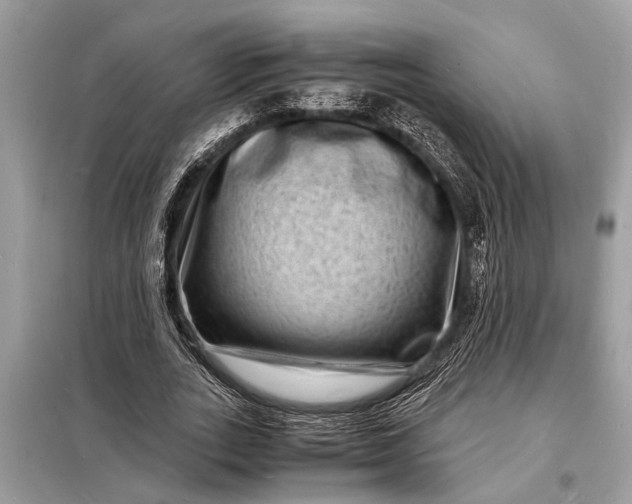 X0000098180727200805081023