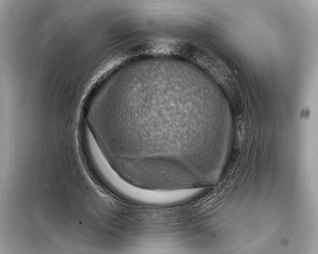 X0000098180728200805081023