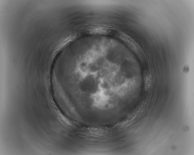 X0000098180729200805081023