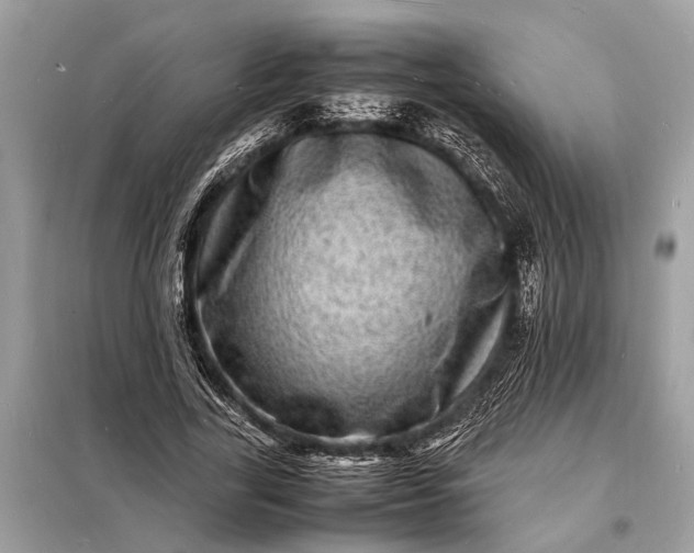 X0000098180731200805081023