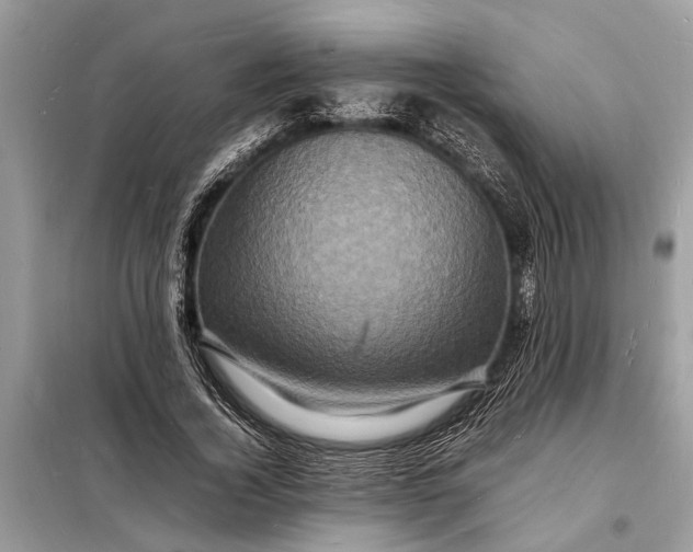 X0000098180732200805081023