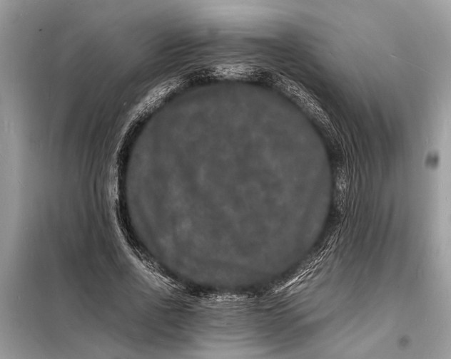 X0000098180734200805081023