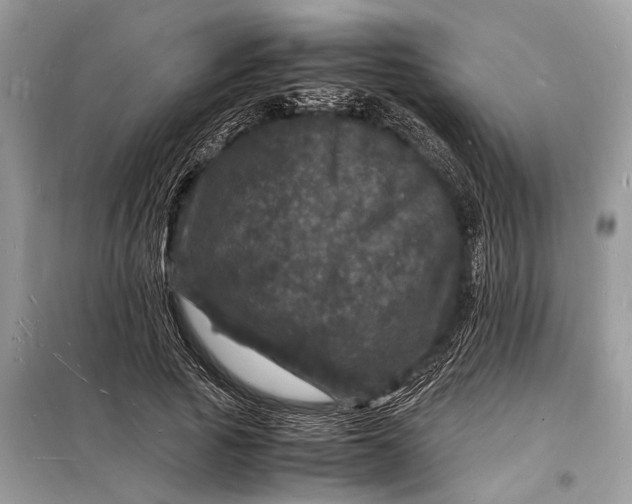 X0000098180737200805081023