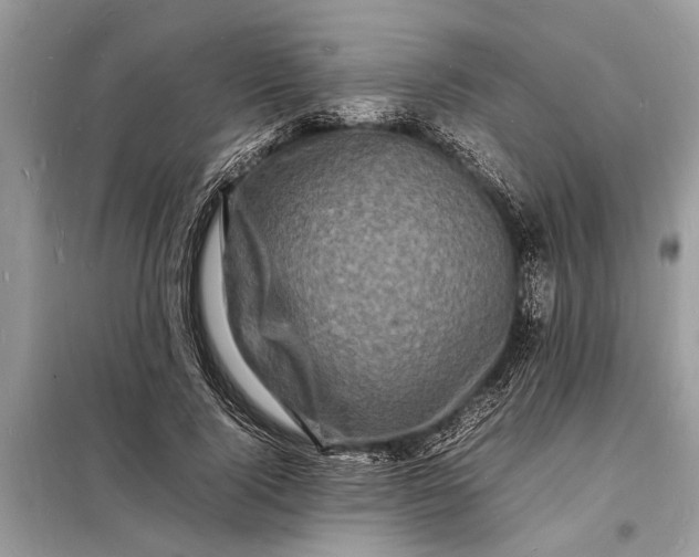 X0000098180740200805081024