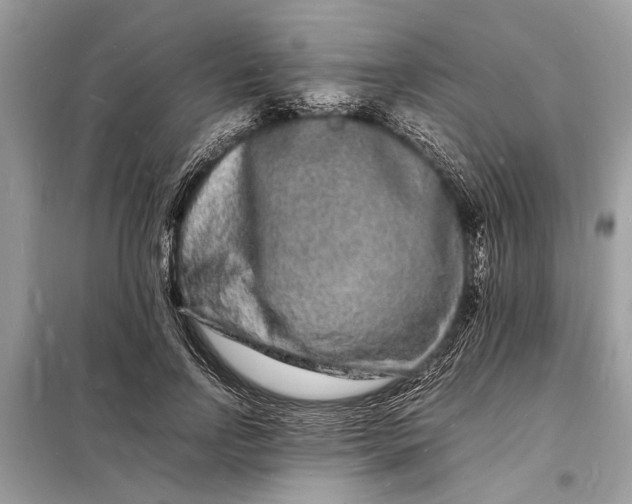 X0000098180742200805081024