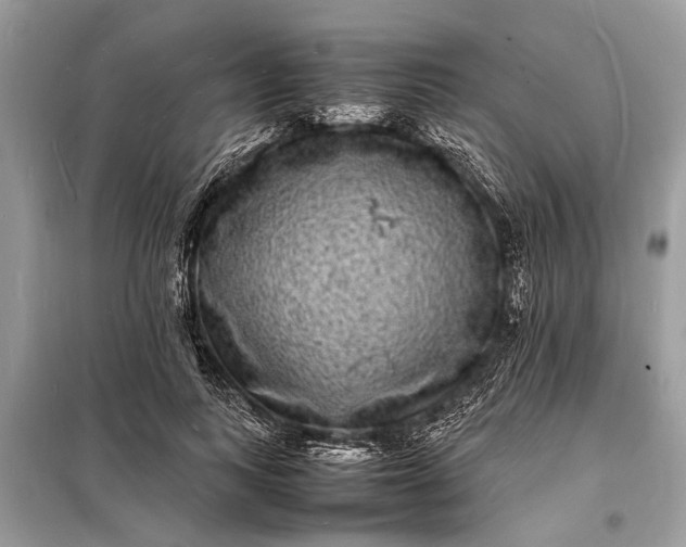 X0000098180743200805081024