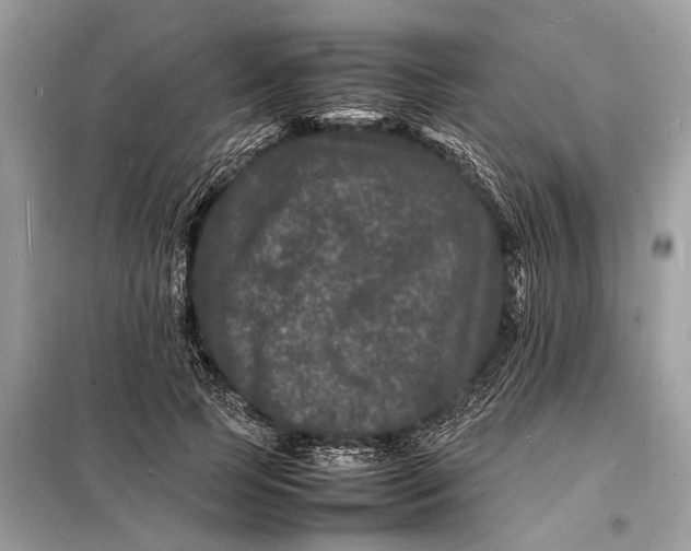 X0000098180745200805081024