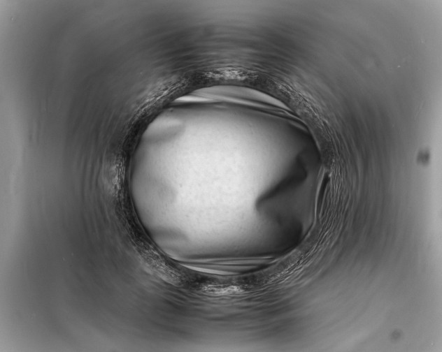 X0000098180747200805081024