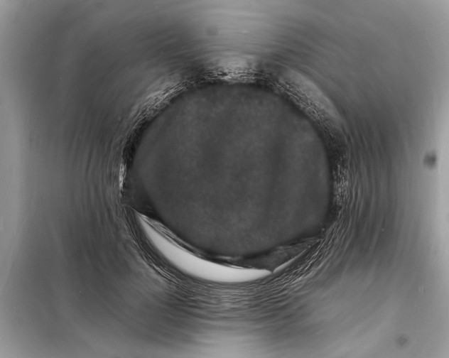 X0000098180748200805081024