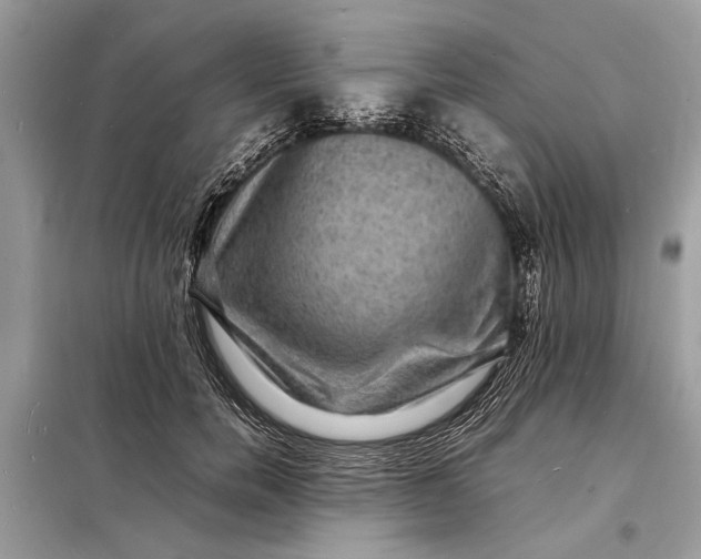 X0000098180750200805081024