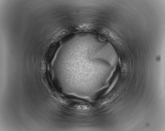 X0000098180751200805081024