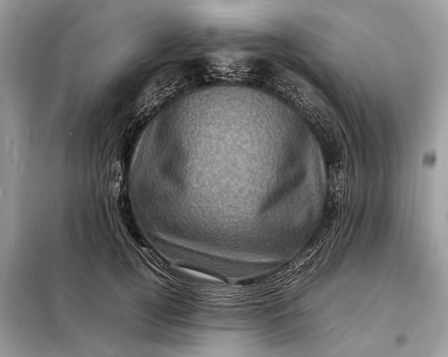 X0000098180752200805081024