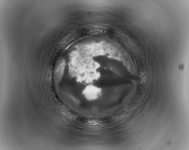 X0000098180753200805081024