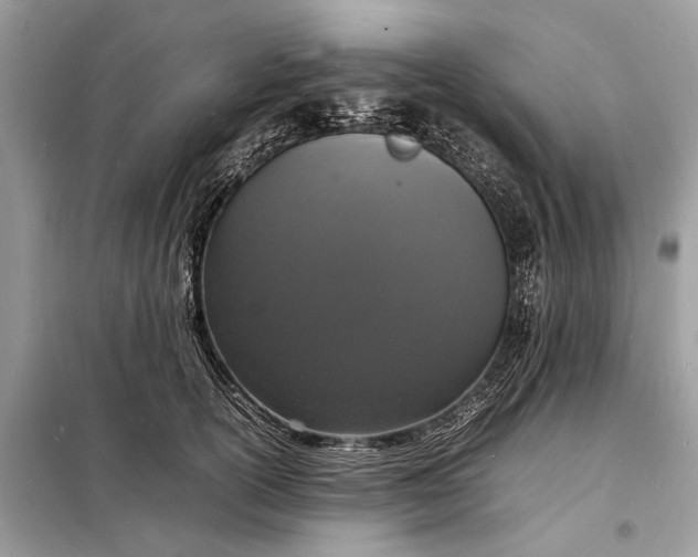 X0000098180754200805081024