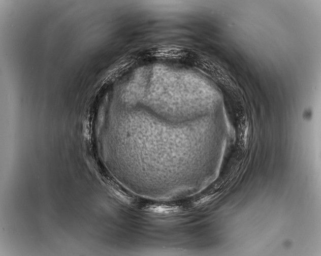 X0000098180755200805081024