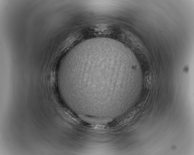 X0000098180756200805081024