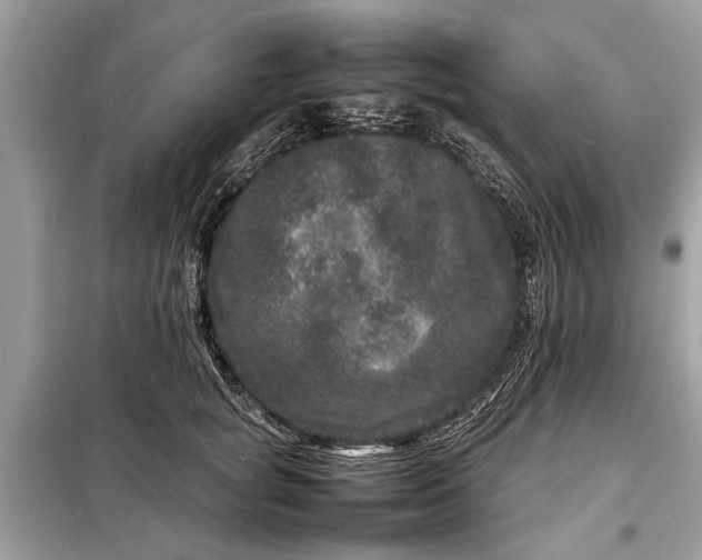 X0000098180757200805081024