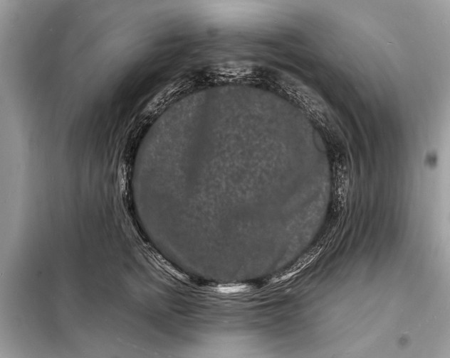 X0000098180758200805081024