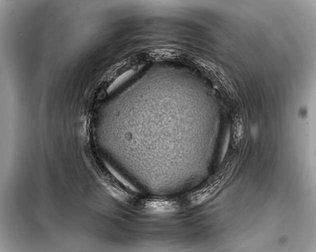 X0000098180759200805081024