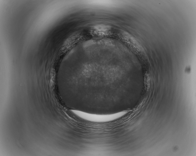 X0000098180760200805081024