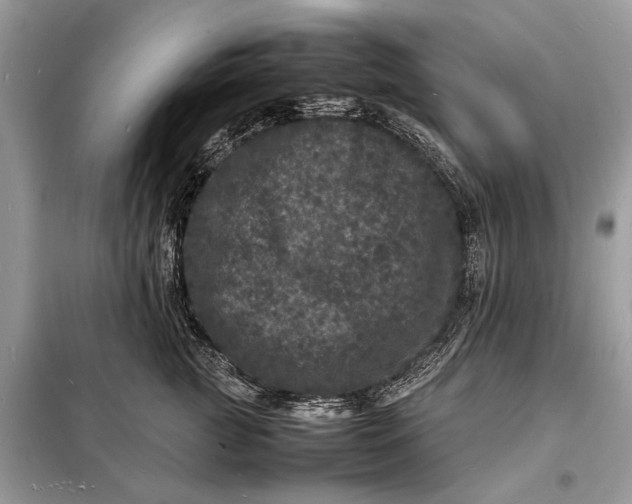 X0000098180761200805081024