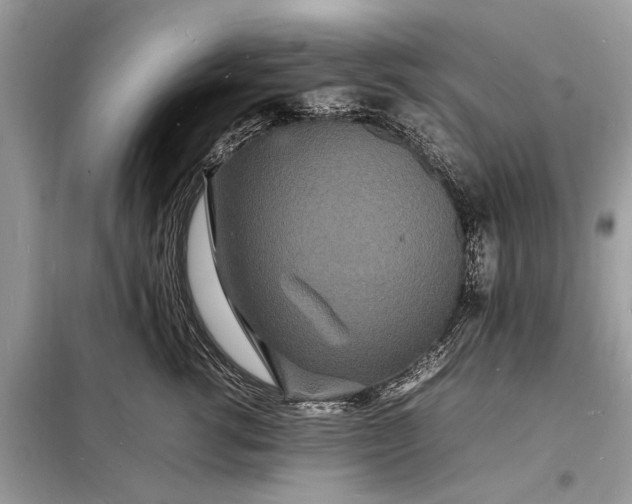 X0000098180762200805081024