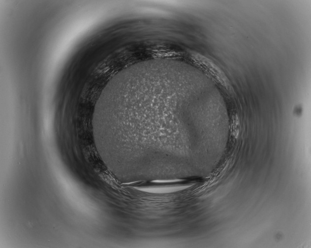 X0000098180763200805081024