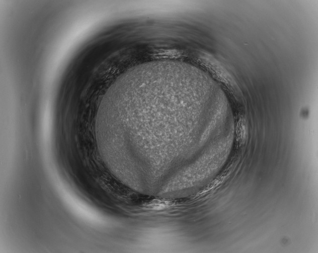 X0000098180764200805081024