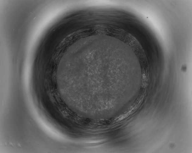 X0000098180765200805081024