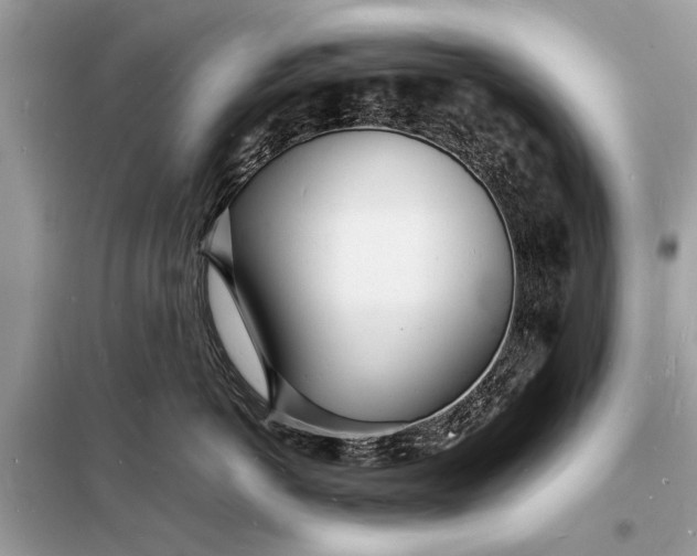 X0000098180766200805081024