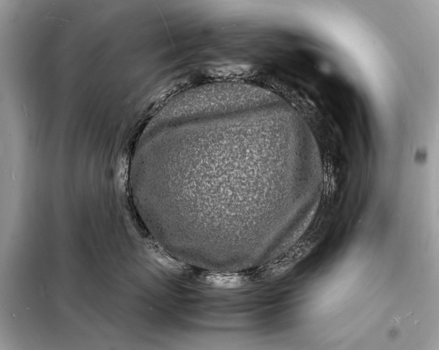 X0000098180767200805081024