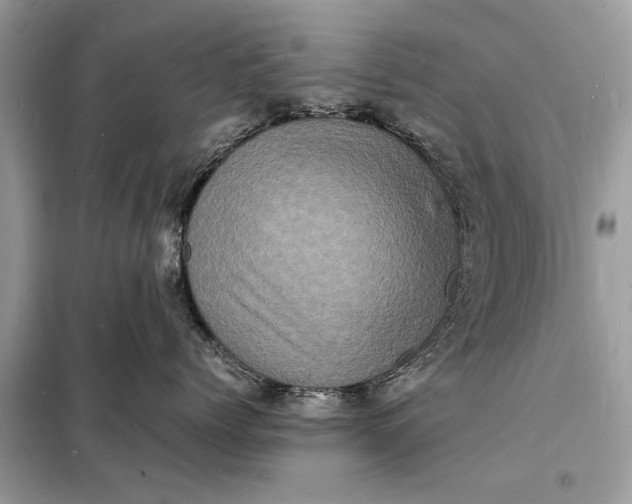 X0000098180768200805081024