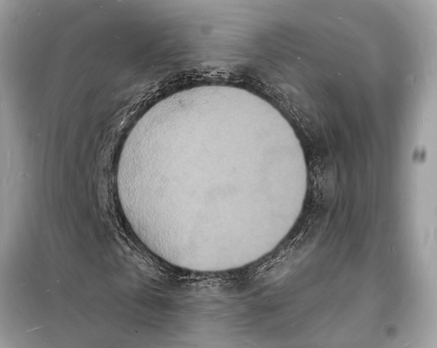 X0000098180769200805081023