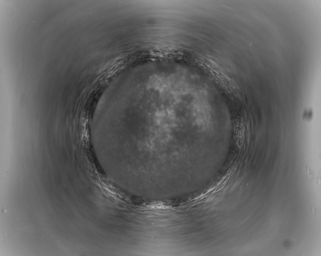 X0000098180770200805081023