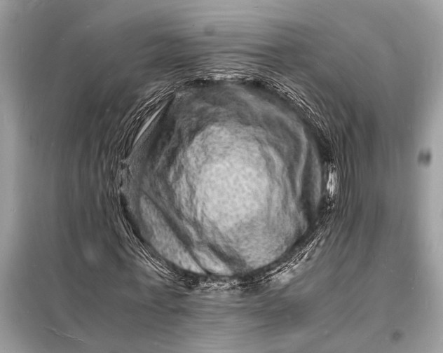 X0000098180771200805081023