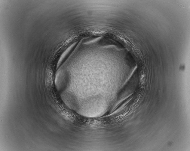 X0000098180772200805081023