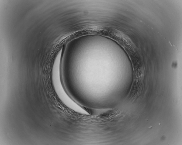 X0000098180773200805081023